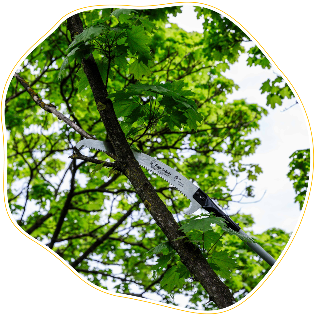 Baumpflege Terzer OG – Philosophie 1 – zertifizierte Baumkontrolleure